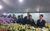 Đoàn đại biểu cấp cao Triều Tiên thăm mô hình trồng hoa lan tại Đan Phượng, Hà Nội